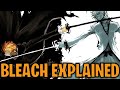 BLEACH: Everything You Need to Know