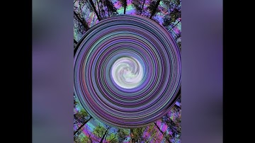 Paradise Connection - Synthodelic Glide