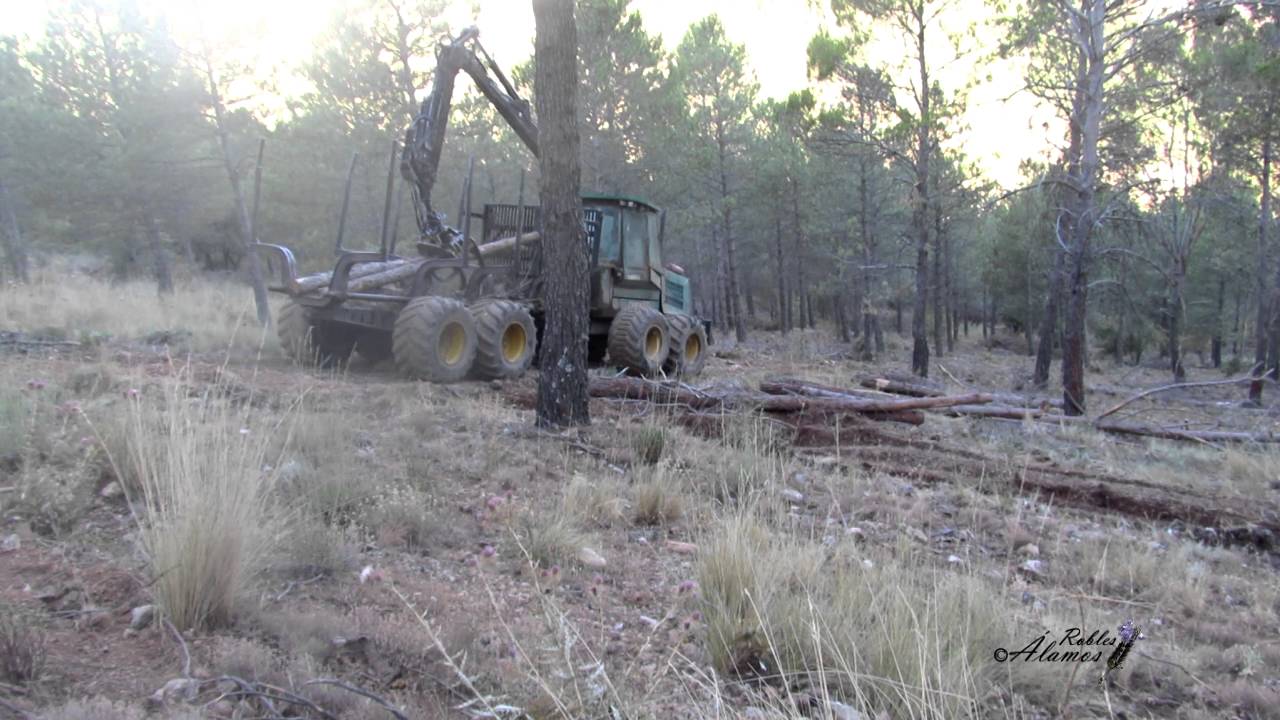 Autocargador Timberjack 1410