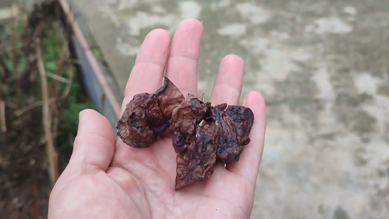 Сыночка корзиночка😀😜👍 Продажа доставка по миру+79788972514