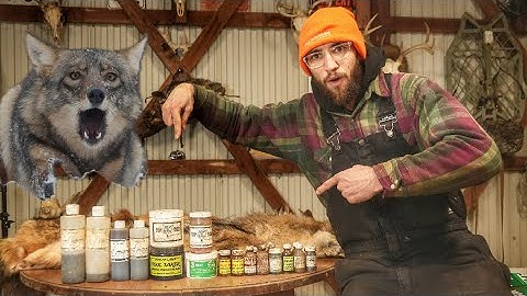 My FAVORITE Baits & Lures For TRAPPING COYOTES! | What I Use On The Trapline