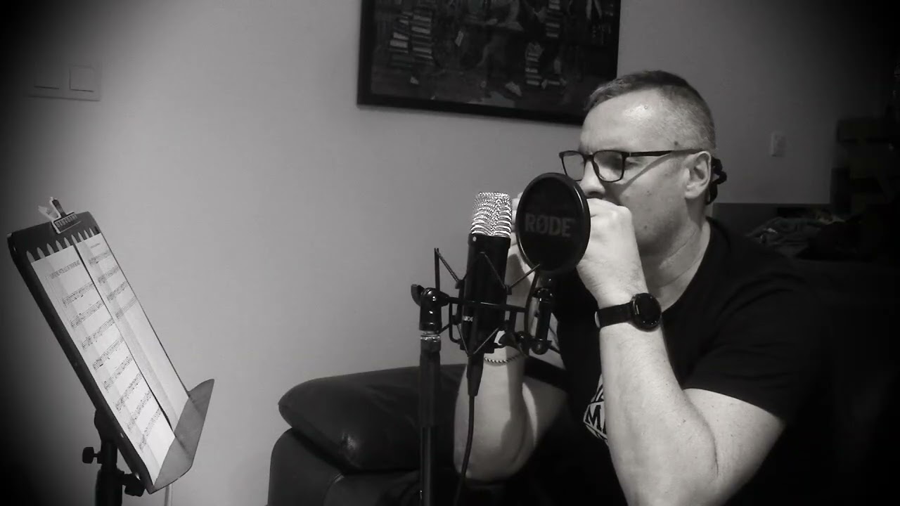 LOVE ME WITH ALL OF YOUR HEART .Harmonica Chromatique