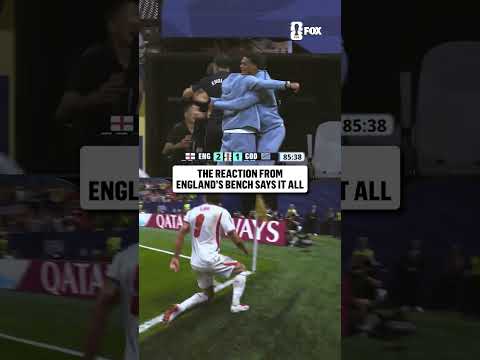 England's bench celebrates Harry Kane's greatness