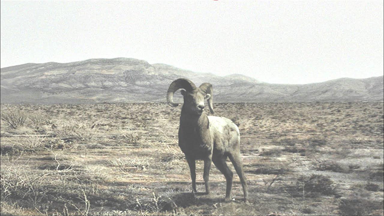 Why do i keep. Best friends mom. Healthy habits. After all why not. Ask me why.