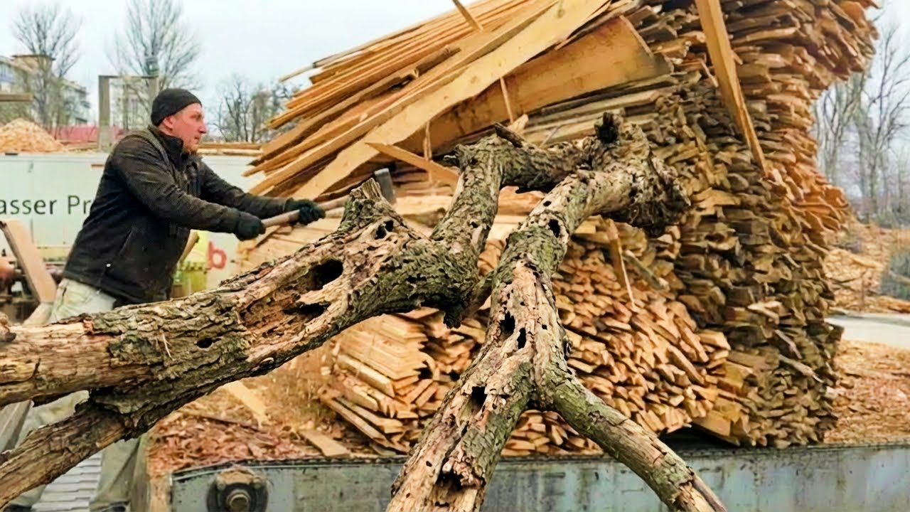 Insane Wood Processing Skills: Man vs. Timber Mountain.