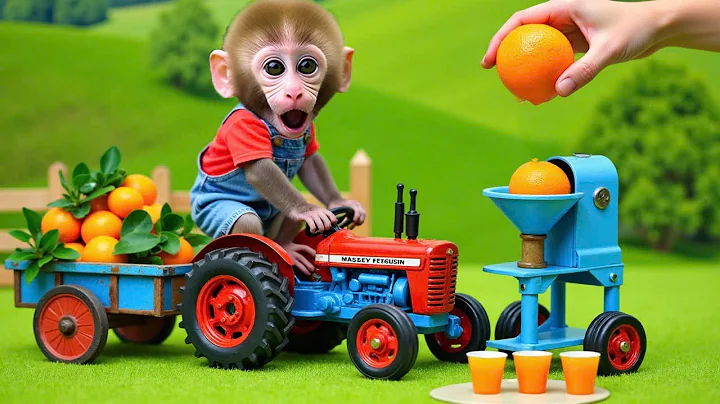 Monkey Nana driving a tractor : The unexpected encounter with a deep hole on the road