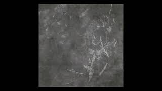 Full Exiled from Light - There Is No Beauty Left Here... - [Compilation] News