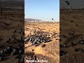 Madina 2025-Day 02