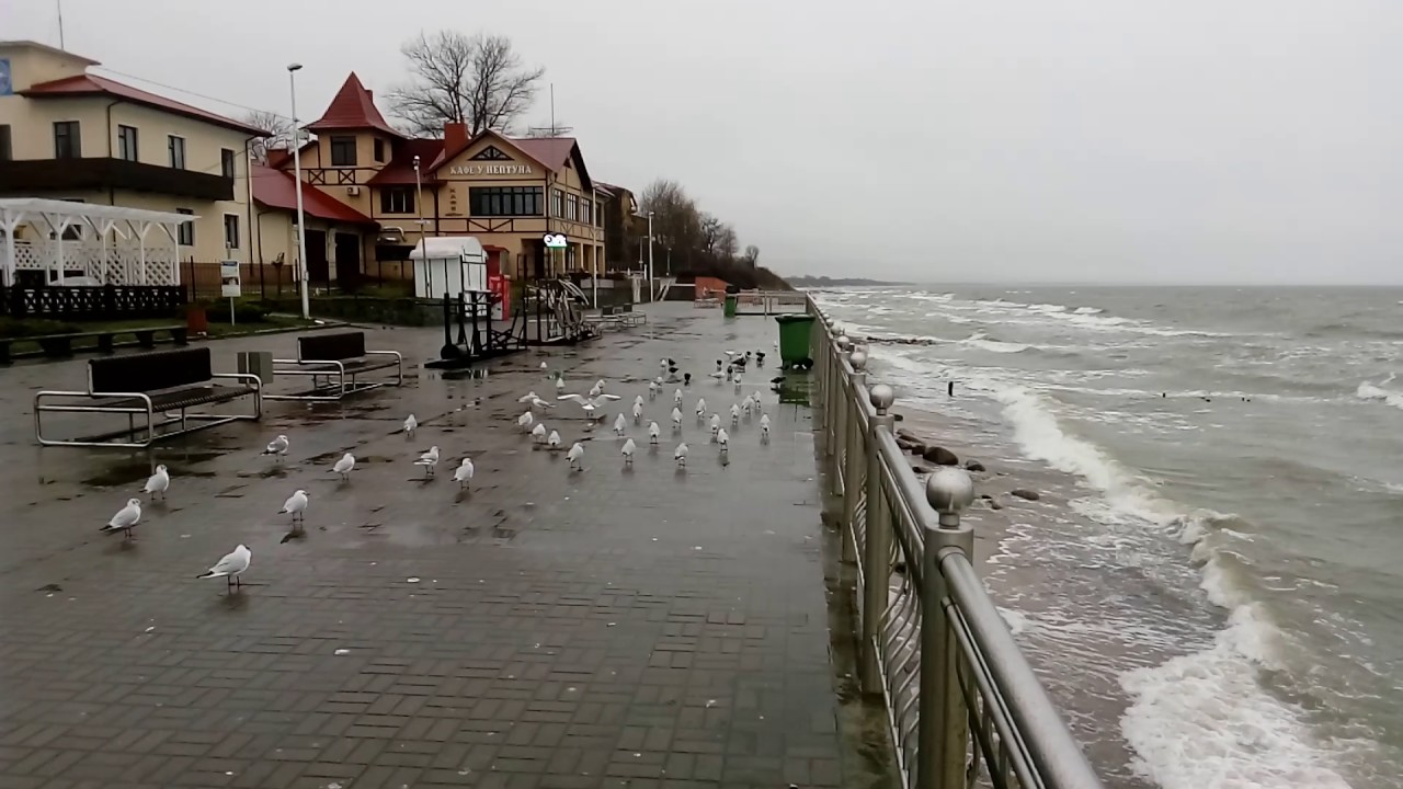 Зеленоград море Зеленоград море