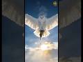 This Owl Makes Zero Sound In Flight — And Science Still Cannot Fully Explain How