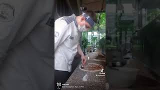 ? Пицца с чоризо?