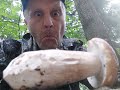 Счастье для грибника когда лес полон грибов! Охота за белыми грибами! Тихая охота 2023 года.