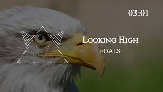 FOALS - Looking High
