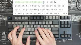 [ASMR Typing] - Realforce R2 5mins slow typing
