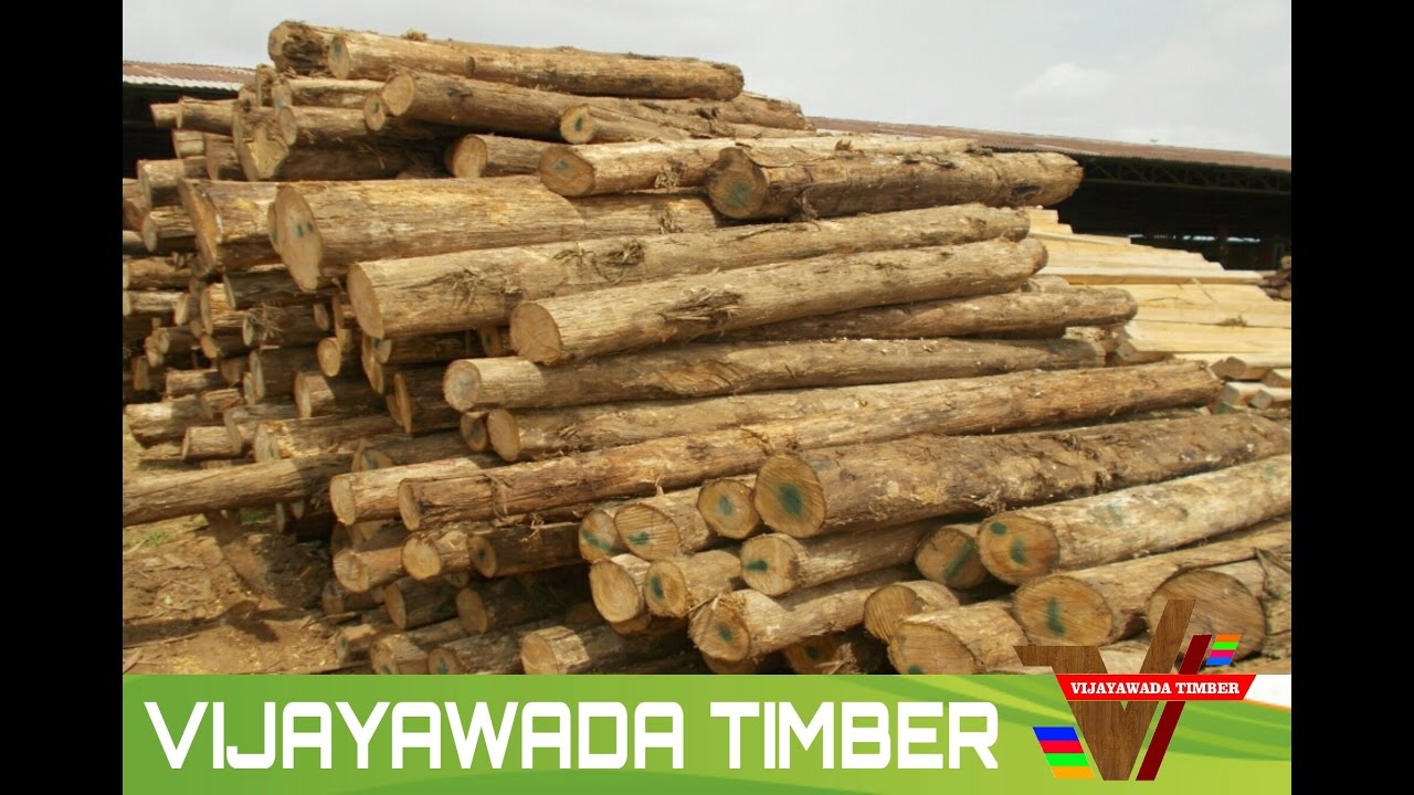 VIJAYAWADA TIMBER 2 YouTube