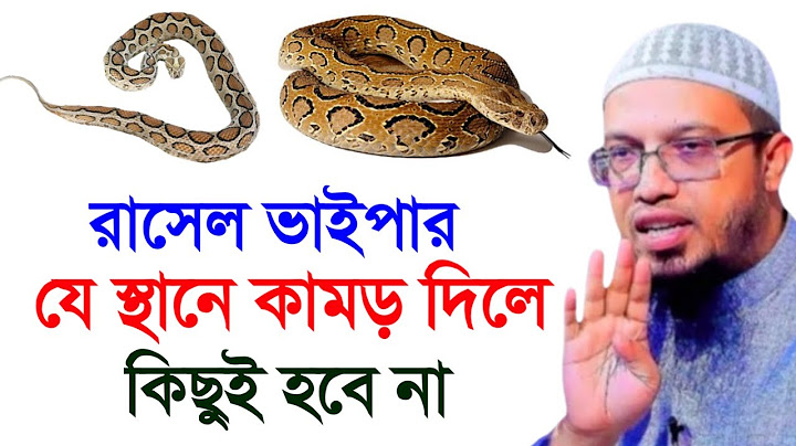 রাসেল ভাইপার সাপ যে স্থানে কামড় দিলে কিছুই হবে না! জেনে নিন। আহমাদুল্লাহ224 27 Jun 202422:35