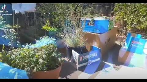 AR Projection Lighting // Snap Lens Studio