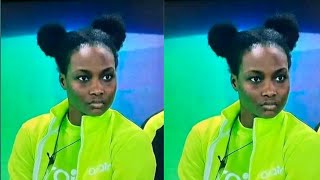 Ilebaye Lied To The Housemates ? BBNAIJA ALL STARS