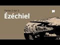 Zchiel3448  synthse