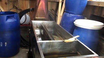 Pouring Maple Syrup from an evaporator in a New Hampshire Sugar Shack
