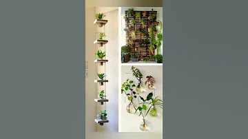 Best unique indoor plants decoration / ideas || plant for purifying Air || no need sunlight #plants