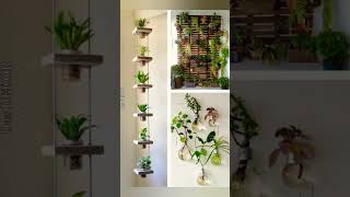 Best unique indoor plants decoration / ideas || plant for purifying Air || no need sunlight #plants