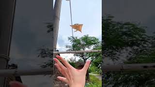 Flying squirrel 🧐😱 screenshot 5