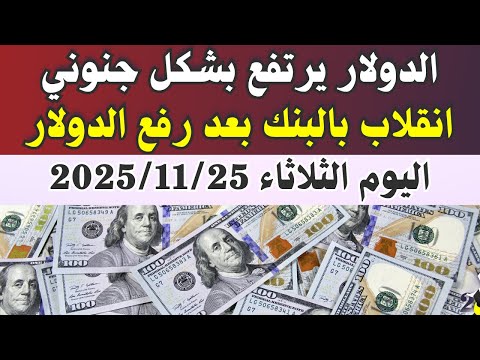 اسعار الدولار فى البنوك المصرية اسعار الدولار والعملات فى البنوك اليوم الثلاثاء 25 11 2025 في مصر