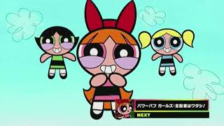 Cartoon Network Japan - Powerpuff Girls The Powerpuff Girls Rule Up Next