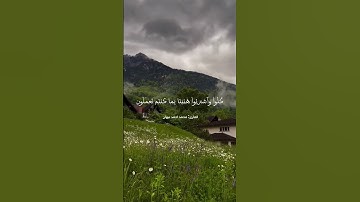 آيات من سورة الطور { إن المتقين في جنات وعيون } | للمهندس محمد أحمد نبهان