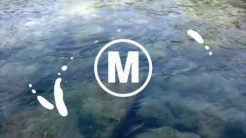 Splash Animated Elements