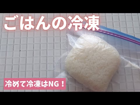 【ごはんの冷凍保存】炊き立てのようにふっくら状態にするコツ教えます！