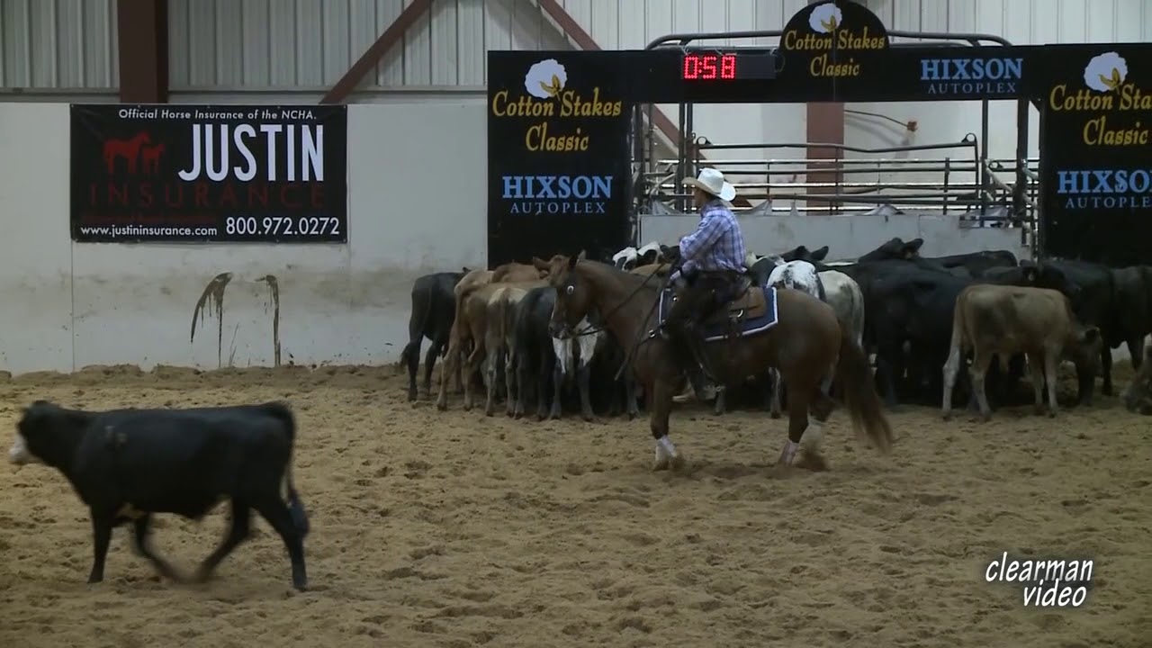 Metal Princess Cotton Stakes