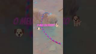 Download Lagu #exo ele e fofo MP3