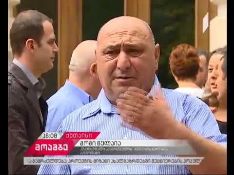 გოგი წულაიამ საკრებულოს მაჟორიტარობის კანდიდატები წარადგინა