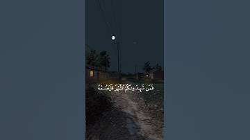 #قرآن #سورة #البقرة #الآية (185)