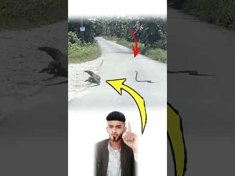 ليس كل من يعلو الجبال عملاق ا فقد يخطو الصغير بثبات حيث يخشى الكبير الاقتراب  