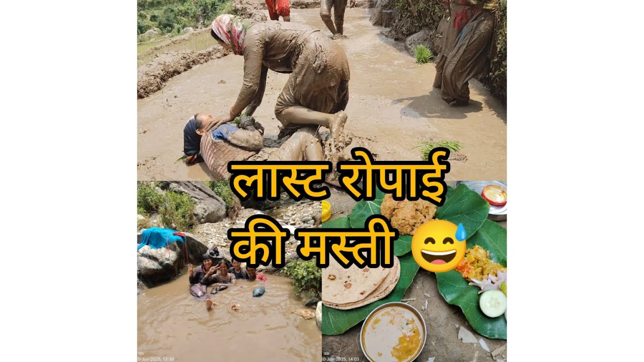 लास्ट रोपाई मे की खुब मस्ती।😅 मैय्या भी लगा दिया।।