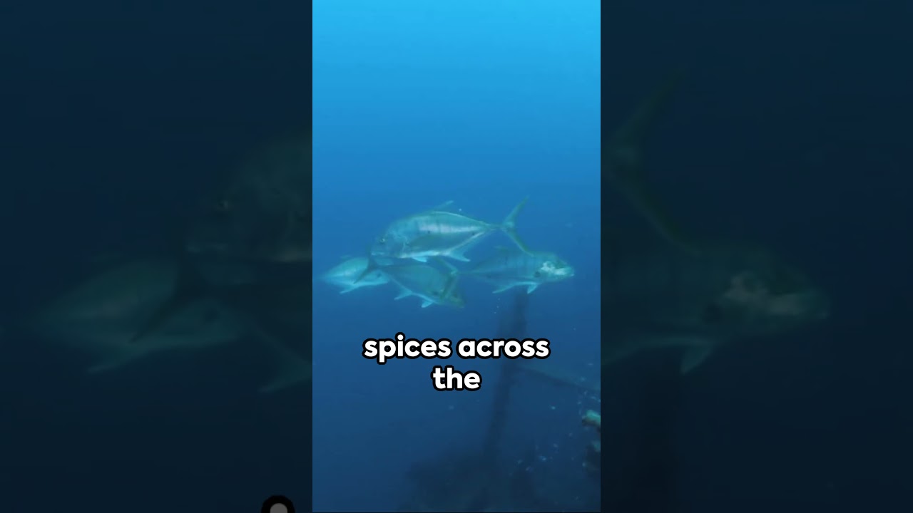 Archives Unveiled: 60-Second Glimpses into Rediscovered History