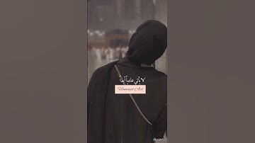 علمتني سورة يوسف أن الجبر الإلهي إذا تأخر لا يأتي عاديا أبدا❤🤲🏻🌺🌾Hamaçat Acil