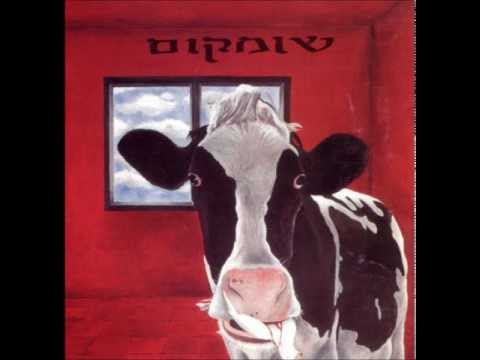 אביב גפן אהבנו מילים 