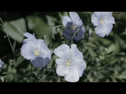 2 минуты назад