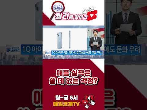   월리를찾아라 애플 실적 쓸 데 없는 걱정