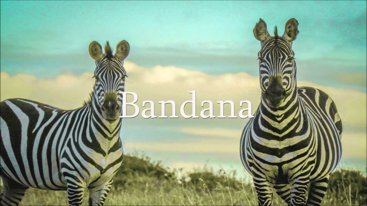 Freddie Gibbs x Madlib Type beat  - Bandana