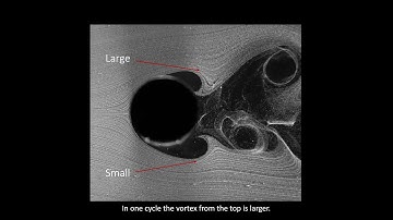 Inline Vortex-Induced Vibrations
