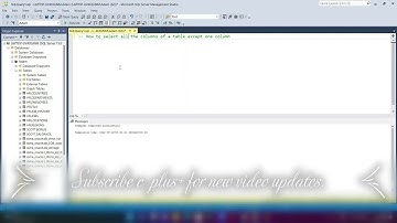 Select All Columns Except One in SQL Server