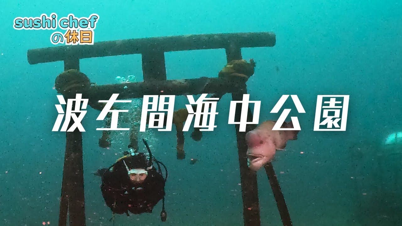 sushi chefの休日/ダイビング］波左間海中公園（高根）を潜る（2024年3