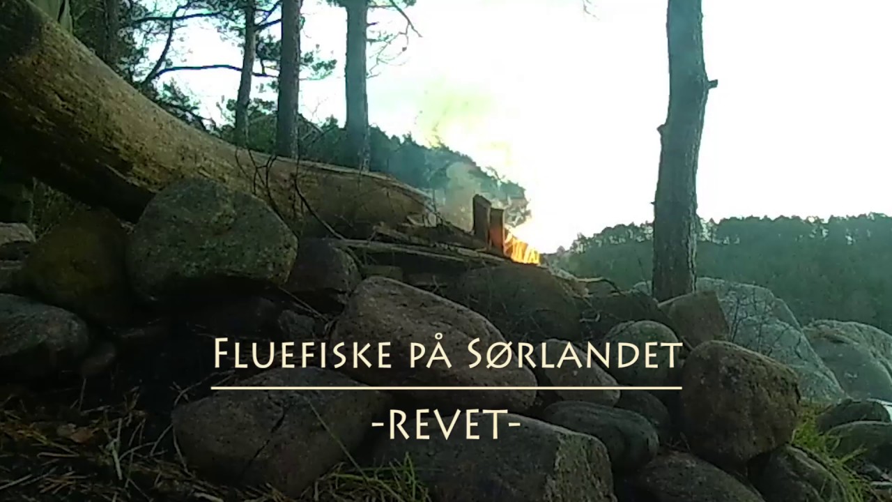 Fluefiske på Sørlandet "Revet"//Fly fishing in Norway! YouTube