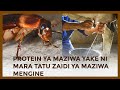 PROTEIN INAYOPATIKANA KWENYE MAZIWA YA MENDE NI MARA TATU ZAIDI YA MAZIWA MENGINE PROTEIN INAYOPATIKANA KWENYE MAZIWA YA MENDE NI MARA TATU ZAIDI YA MAZIWA MENGINE