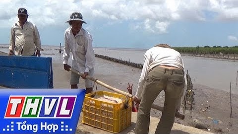 THVL | Ngư dân ở Bạc Liêu trúng đậm mùa ruốc biển